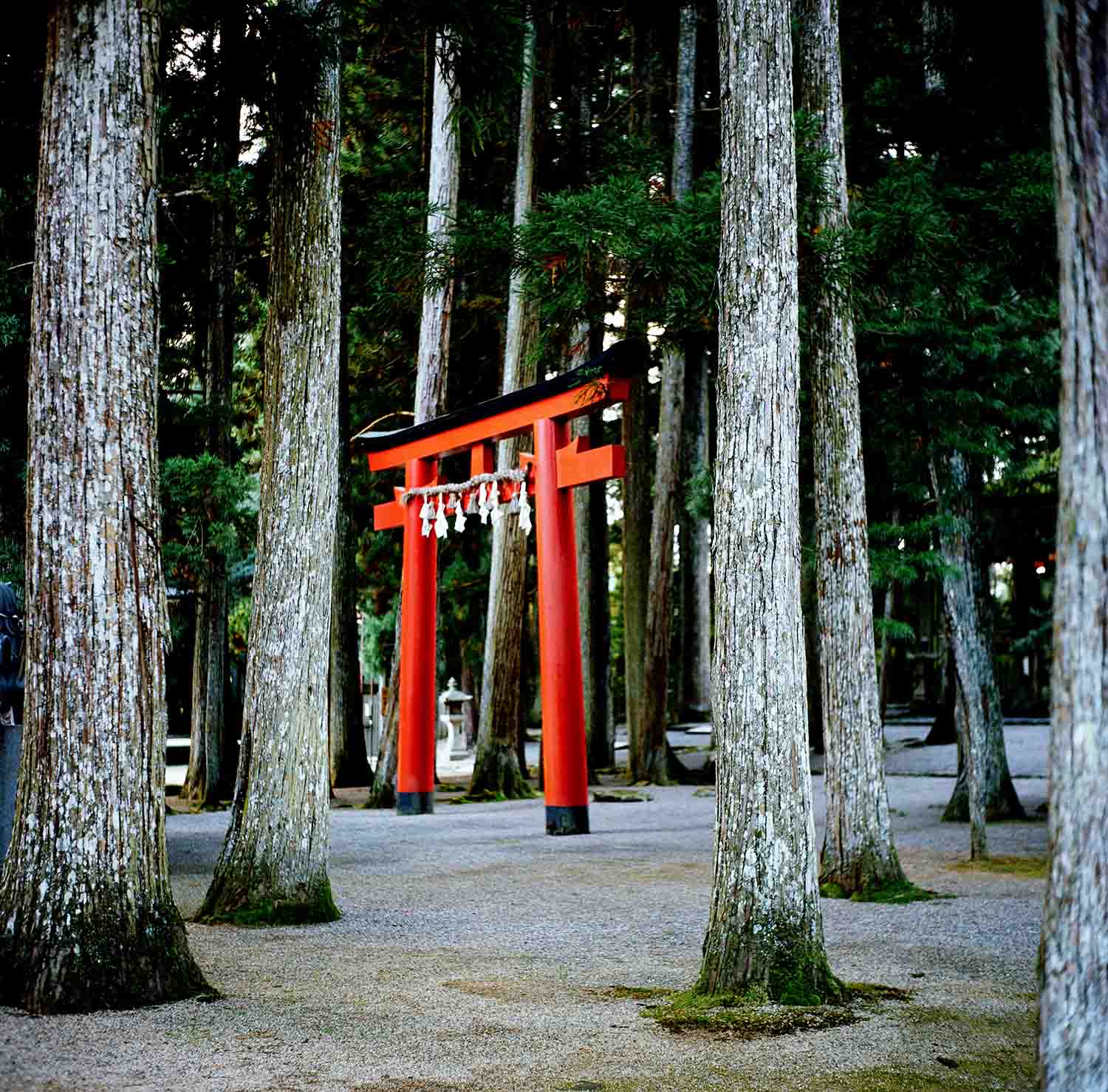 Koyasan temples in the woods and mountains, Japan